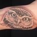 Tattoos - Owl - 91444